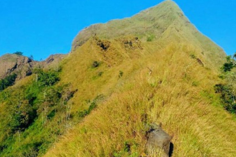 Video Evakuasi Pendaki Asal Surabaya dan Guide yang Hilang di Gunung Piramid Bondowoso Viral, Ternyata Ini Penyebabnya