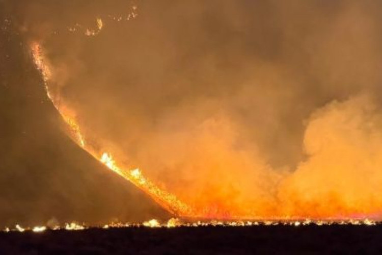Dugaan Penyebab Kebakaran Hutan Gunung Bromo, Kawasan yang Terdampak Ditutup Total Untuk Pengunjung