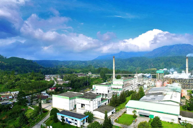 PT Toba Pulp Lestari Jadi Tersangka Korupsi Transfer Pricing, Tercatat Rugikan Negara Sampai Rp 2 Trilliun 