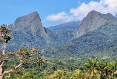 Kronologi 2 Pendaki Hilang di Gunung Piramid Bondowoso, Jenazah Sudah Berhasil Dievakuasi Tim SAR Gabungan